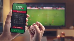The Rise of Online Gambling An Insight into Adi Bet The Rise of Online Gambling An Insight into Adi Bet